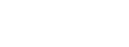 Texas Instruments