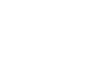 The Walt Disney Company